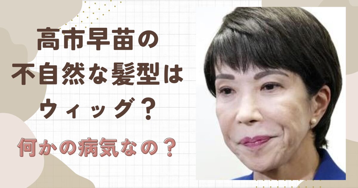 高市早苗の不自然な髪型はウィッグ？何かの病気にかかってる？